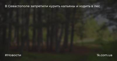 В Севастополе запретили курить кальяны и ходить в лес