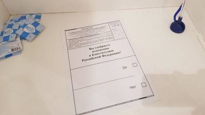Более 70% жителей Амурской области проголосовали за поправки в Конституцию