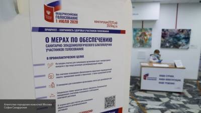 Поправки к Конституции поддержали 82,8% жителей Воронежской области