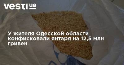 У жителя Одесской области конфисковали янтаря на 12,5 млн гривен