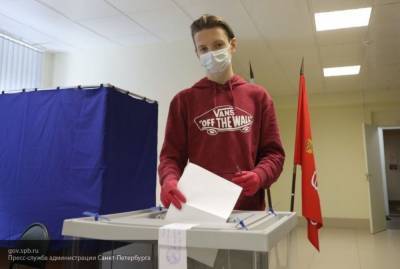 ЦИК: российские избиратели свободно выразили свою позицию на голосовании по поправкам