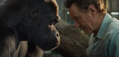 Опубликован первый трейлер фильма о горилле «Айван, единственный и неповторимый»