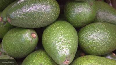 Диетолог рассказала о жиросжигающих свойствах авокадо