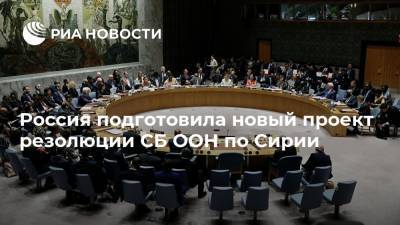 Россия подготовила новый проект резолюции СБ ООН по Сирии