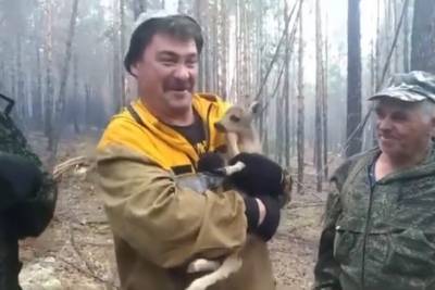 В Бурятии сотрудник лесхоза вытащил олененка из лесного пожара