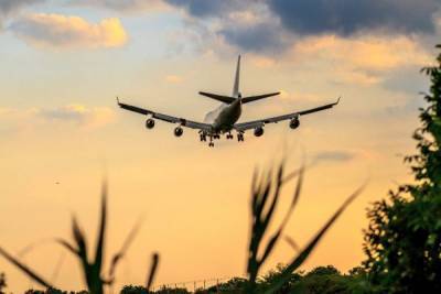 Туроператоры предложили расширить список стран для возобновления полетов