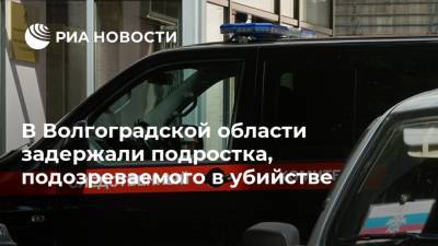 В Волгоградской области задержали подростка, подозреваемого в убийстве