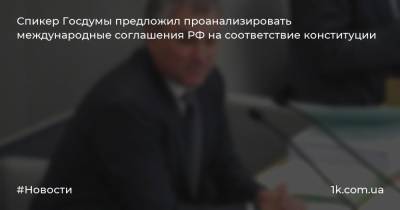 Спикер Госдумы предложил проанализировать международные соглашения РФ на соответствие конституции