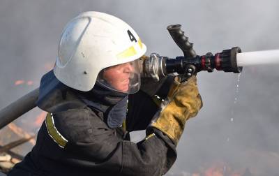 В Луганской области четвертый день тушат лесной пожар