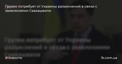Грузия потребует от Украины разъяснений в связи с заявлениями Саакашвили