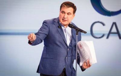 Грузия потребует у Украины разъяснений после заявления Саакашвили