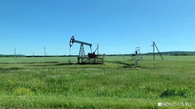 Аналитики спрогнозировали рост цен на нефть до 150 долларов за баррель