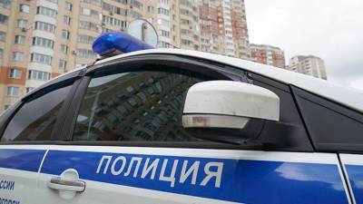 В Москве двое избили женщину и отобрали сумку с ценностями на 2,3 млн рублей