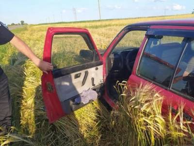 Пьяный водитель сбил 8-летнего ребенка на обочине дороги в Тернопольской области