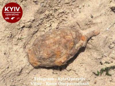 На детской площадке в Киеве обнаружили в песке ржавую гранату, оставшуюся с 1941 года