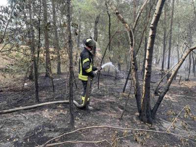 Открытого огня в лесах Луганской области уже не наблюдается, – ГСЧС
