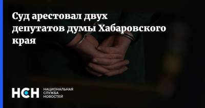 Суд арестовал двух депутатов думы Хабаровского края