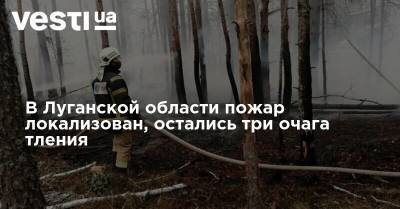 В Луганской области пожар локализован, остались три очага тления