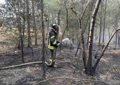 Открытый огнь в районе пожара в Луганской области потушен — ГСЧС Украины