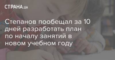 Степанов пообещал за 10 дней разработать план по началу занятий в новом учебном году