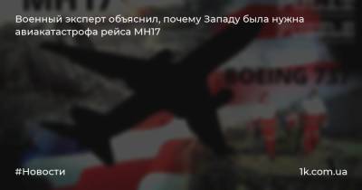 Военный эксперт объяснил, почему Западу была нужна авиакатастрофа рейса MH17