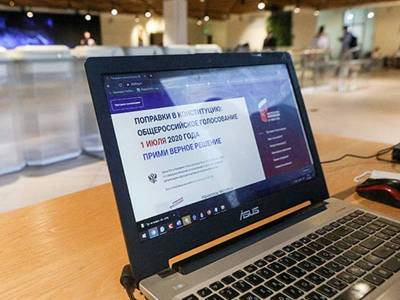 Паспорта голосовавших онлайн по поправкам к Конституции опубликованы в Сети