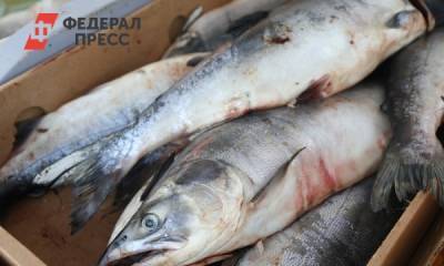 Жителям Приморье подарят горбушу по социальной цене ко Дню рыбака