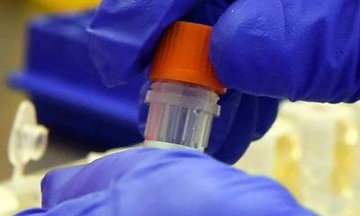 В «тюменской матрешке» — 556 новых случаев коронавируса, пять новых смертей