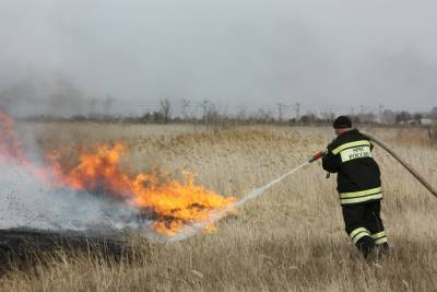 Два крупных лесных пожара потушены в Дагестане