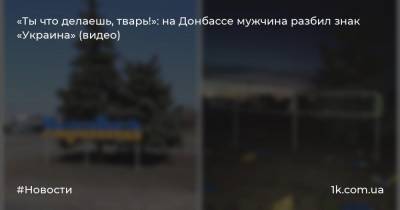 «Ты что делаешь, тварь!»: на Донбассе мужчина разбил знак «Украина» (видео)