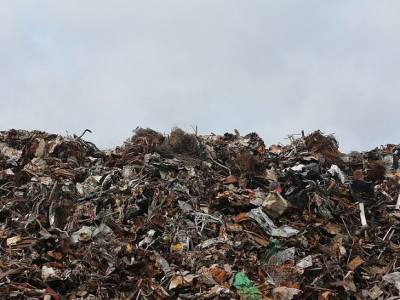 Жители Ленобласти требуют закрыть мусорный полигон размером с две Дворцовой площади