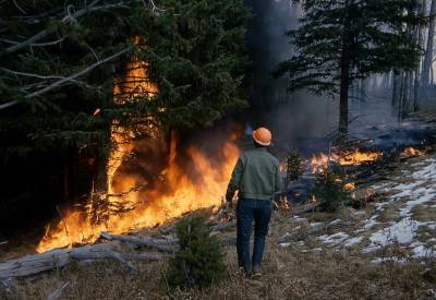 В Свердловской области на перевале Дятлова разгорелся лесной пожар