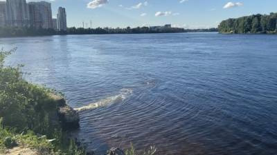 Специалисты не нашли опасных загрязнений в акватории Невы в Колпинском районе