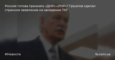 Россия готова признать «ДНР»-«ЛНР»? Грызлов сделал странное заявление на заседании ТКГ