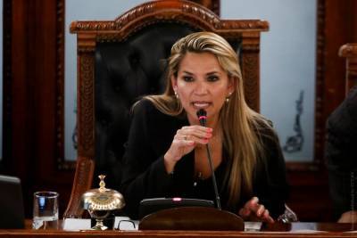 Исполняющая обязанности президента Боливии Жанин Аньес заболела коронавирусом