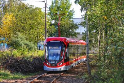 С 13 июля в Петербурге продлят время работы трамваев и троллейбусов