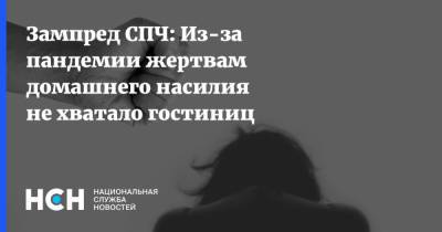 Ирина Киркора - Зампред СПЧ: Из-за пандемии жертвам домашнего насилия не хватало гостиниц - nsn.fm - Россия