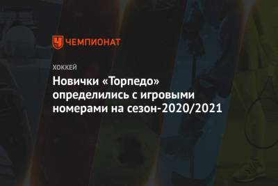 Новички «Торпедо» определились с игровыми номерами на сезон-2020/2021