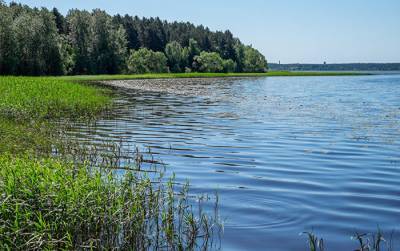 Плохие новости: в Латвии стремительно растет число утонувших