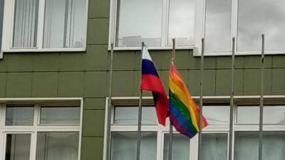 В школе Колпинского района прокомментировали инцидент с радужным флагом