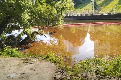 Из-за разлива нефтепродуктов в Химкинском водохранилище погибли краснокнижные сомы