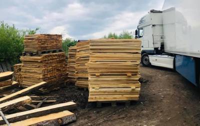 Полиция провела обыски в лесхозах Прикарпатья