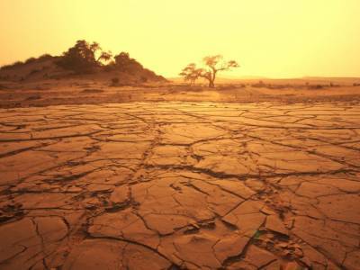 ООН: в последующие годы температура на планете будет неуклонно расти
