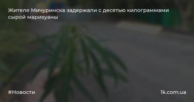 Жителя Мичуринска задержали с десятью килограммами сырой марихуаны