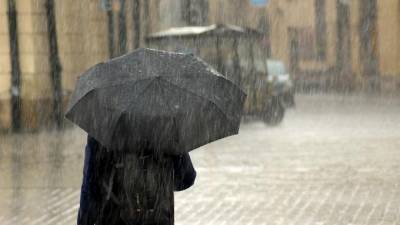 МЧС предупреждает петербуржцев о ветре до 24 м/с и дожде с грозами