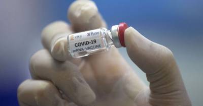 В России испытания вакцины от коронавируса вышли на финальную стадию