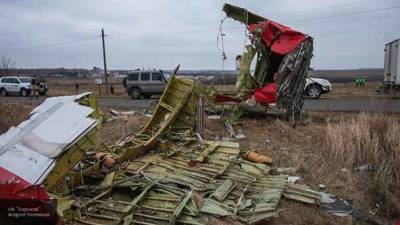 Кнутов: крушение MH17 в Донбассе может быть местью Вашингтона Куала-Лумпуру