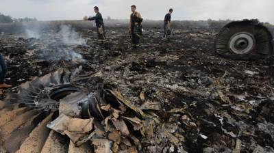 Нидерландs подудут в ЕСПЧ иск к России из-за крушения «Боинга» MH17