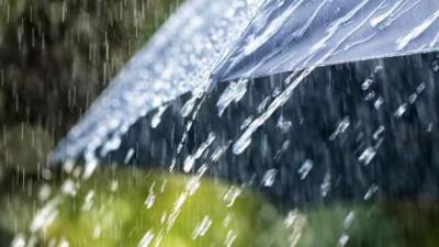Синоптик Наталья Диденко назвала регионы, в которых на выходных ожидаются дожди с грозами