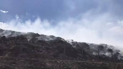Лесной пожар в Луганской области добрался до городской свалки в Северодонецке